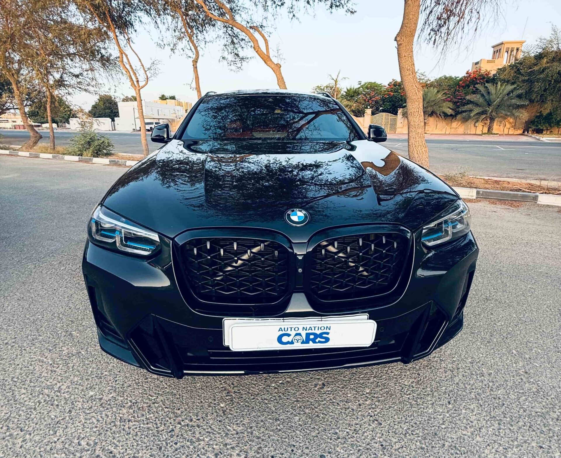 BMW X42