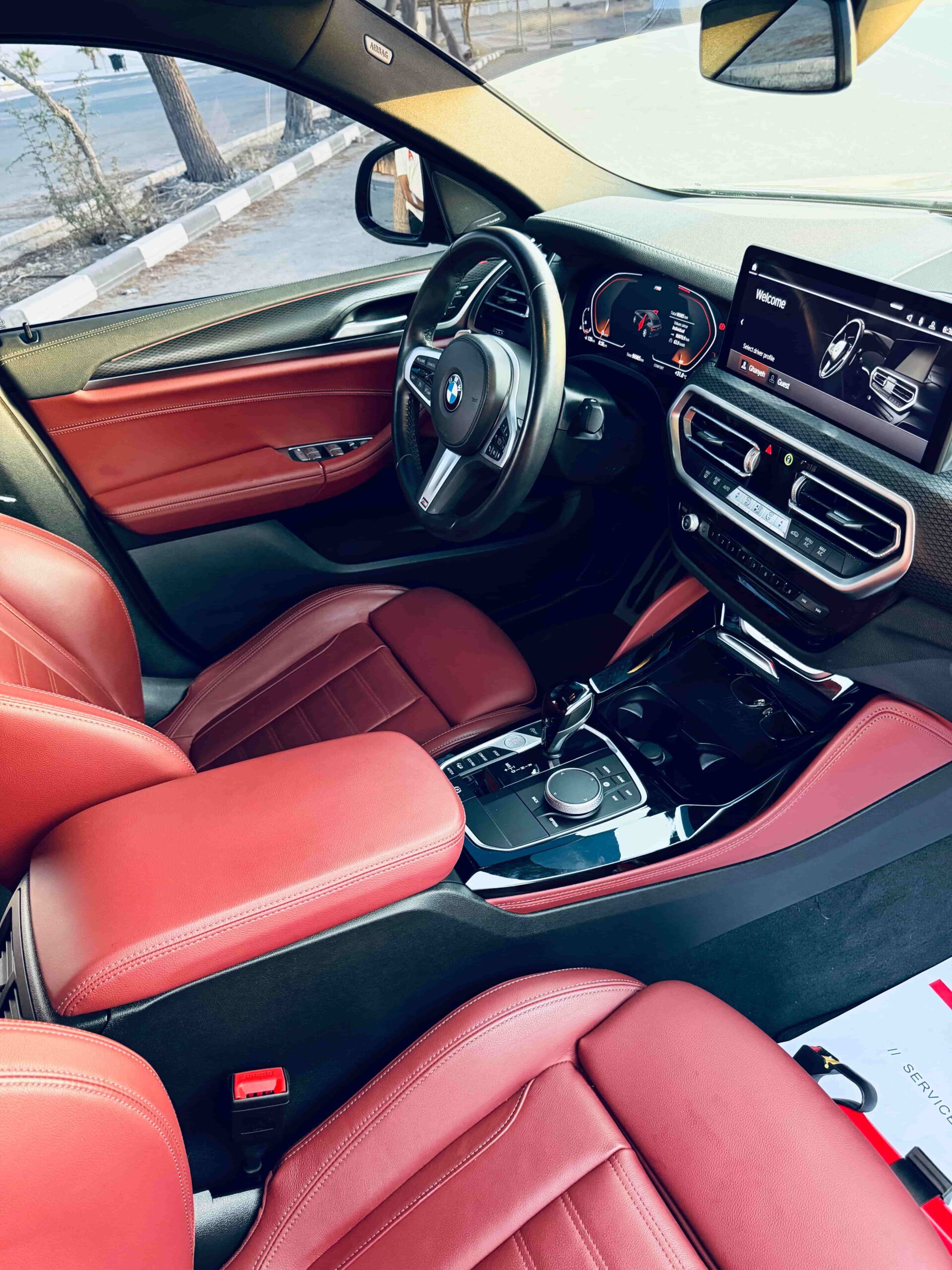 BMW X46