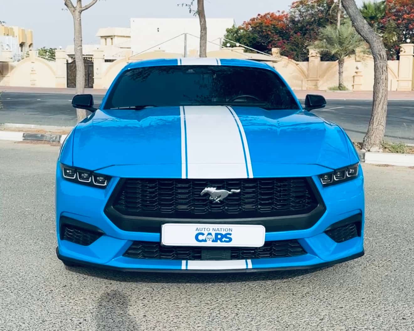 Ford Mustang EccoBoost1